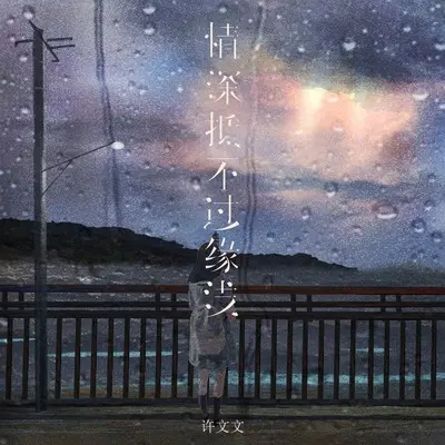 情深抵不过缘浅 - 许文文封面