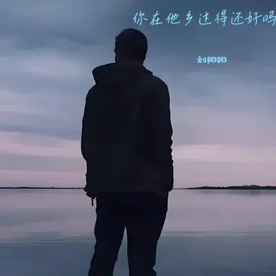 你在他乡过得还好吗(伴奏) - 刘阳阳封面