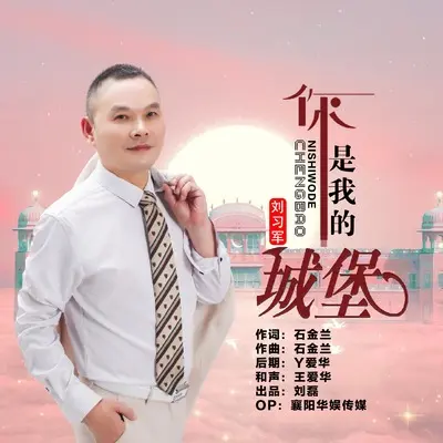 你是我的城堡(DJ默涵版)(DJ默涵版)封面