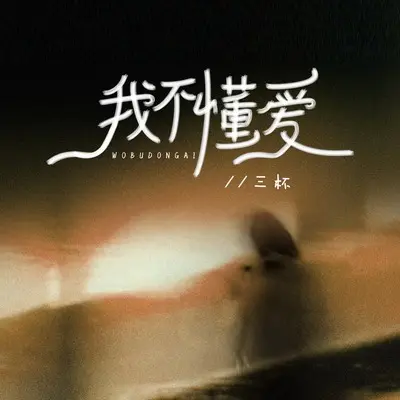 我不懂爱封面