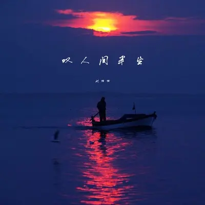 叹人间半生(DJ Eva版)(DJ Eva版)封面