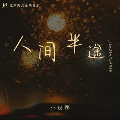 人间半途封面