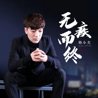 无疾而终（DJ枫叶版）封面