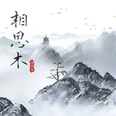 相思木（最潮热舞DJ默涵版）(完整版)(完整版)封面
