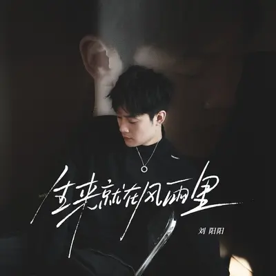 生来就在风雨里（我早已看不清我自己）封面
