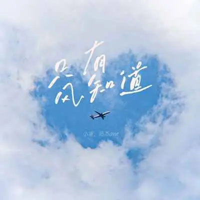 只有风知道封面