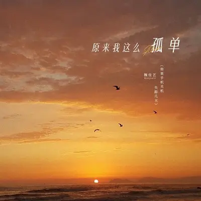 原来我这么孤单（如果手机关机失踪几天）(伴奏)封面