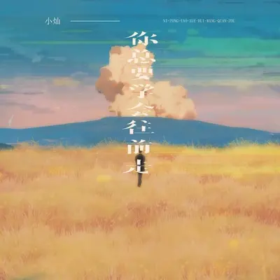 你总要学会往前走封面
