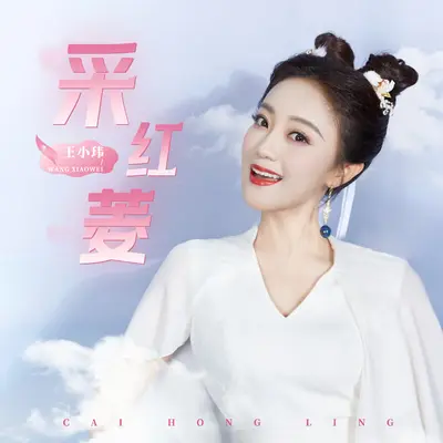 采红菱 - 王小玮封面