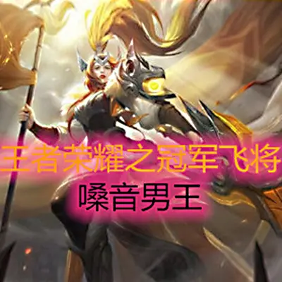 王者荣耀之冠军飞将封面