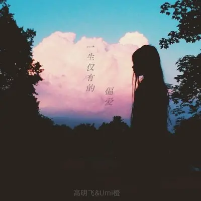 错爱（一生仅有的偏爱）封面