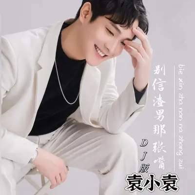 别信渣男那张嘴(DJ默涵加速版)(DJ默涵加速版) - 袁小袁封面