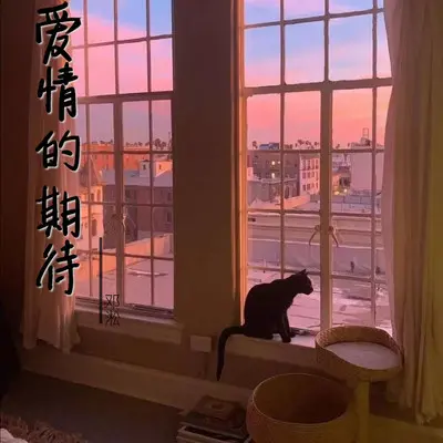 恋爱一生封面