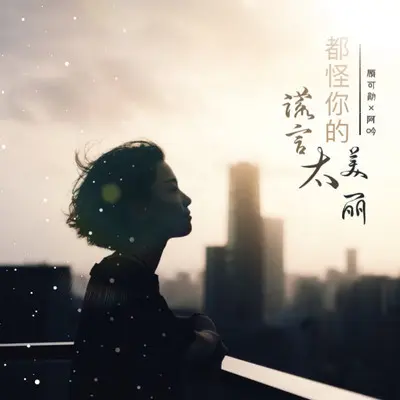 都怪你的谎言太美丽（合唱版）(合唱版)(合唱版)封面