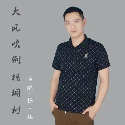 大风吹倒梧桐树 - 杨木华封面