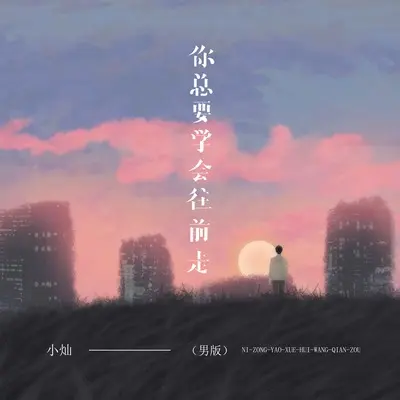 你总要学会往前走(DJ李想男版)(DJ李想男版)封面