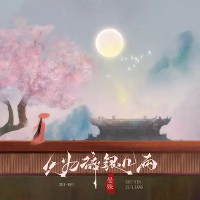 只为碎银几两封面