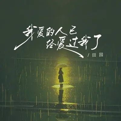 我爱的人已经爱过我了(DJ EVA版)(DJ EVA版) - 田园封面