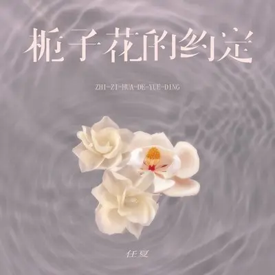 栀子花的约定封面