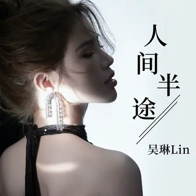 人间半途(DJ豪大大版)(DJ豪大大版)封面