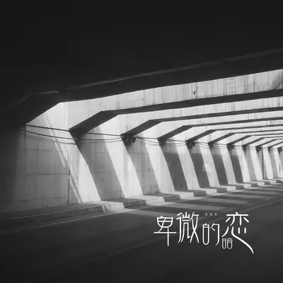 卑微的暗恋封面