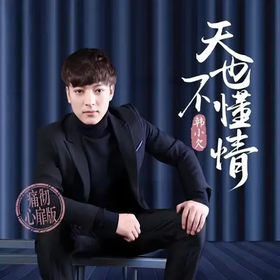 天也不懂情封面