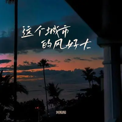 这个城市的风好大（这些年我过得好嘛）封面