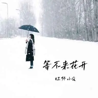 等不来花开(女声版)(女声版)封面