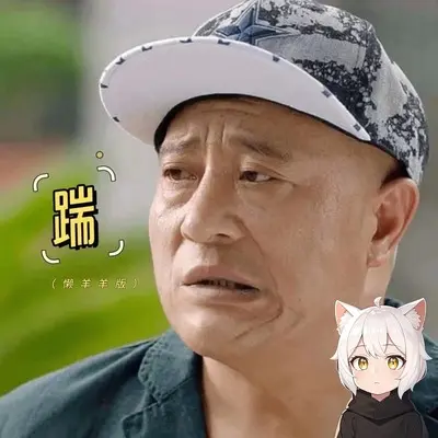 踹(懒羊羊版)(懒羊羊版)封面
