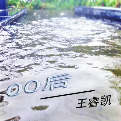 爱的印记封面