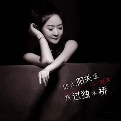 你走阳关道我过独木桥(伴奏)封面