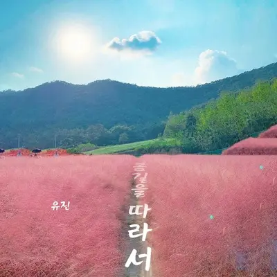 봄길을 따라서封面