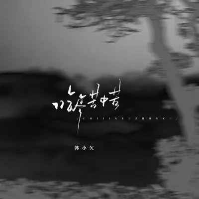 吃尽苦中苦封面
