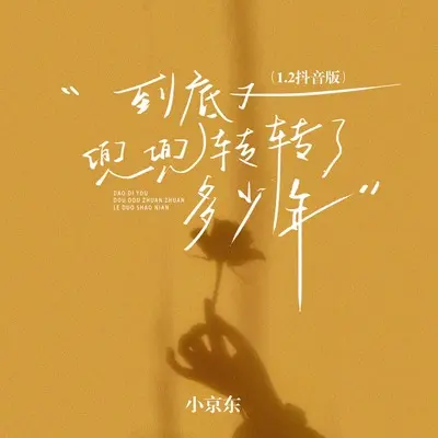 到底又兜兜转转了多少年 - 小京东封面