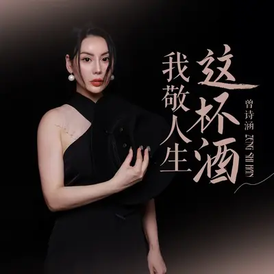 我敬人生这杯酒封面