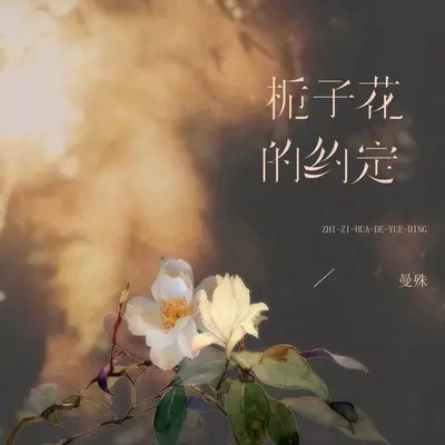 栀子花的约定(钢琴Live版)(钢琴Live版)封面