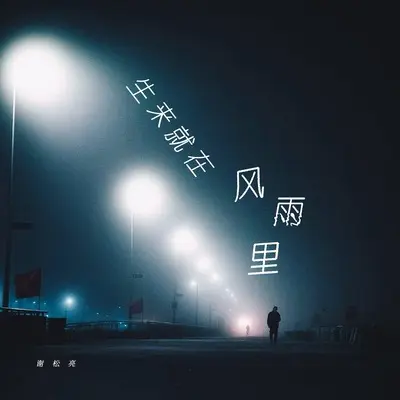 生来就在风雨里（我早已看不清我自己）封面