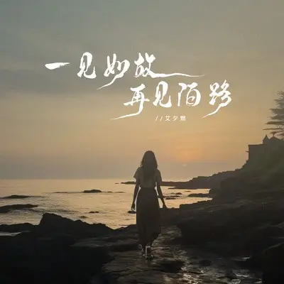 一见如故再见陌路封面
