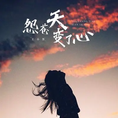 怨苍天变了心 (如果让我遇见你)封面