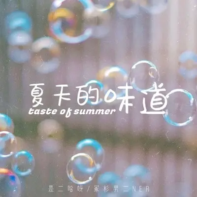 夏天的味道封面