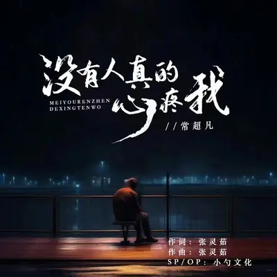 没有人真的心疼我(伴奏)封面