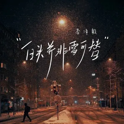 白头并非雪可替封面