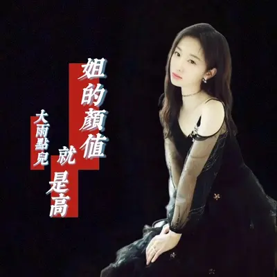姐的颜值就是高(DJ小鹏版伴奏)封面