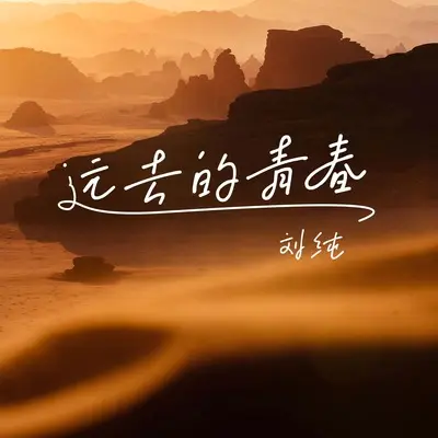 远去的青春(DJ伯格版)(DJ伯格版)封面