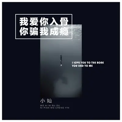 我爱你入骨,你骗我成瘾(男声版)(男声版)封面