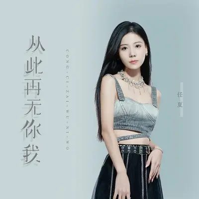 从此再无你我封面