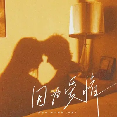 因为爱情(女版伴奏) - 夏城南封面