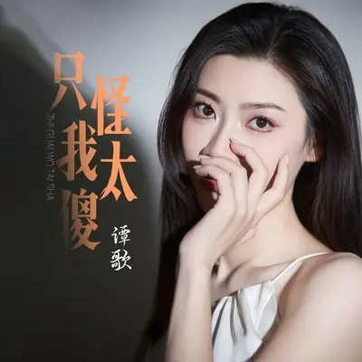 只怪我太傻(伴奏)封面