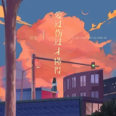爱过伤过才懂得封面