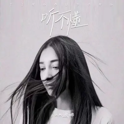 听不懂(伴奏)封面